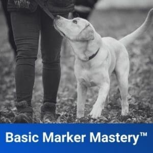 Basic Marker Mastery™