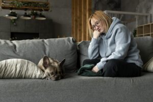  Confidence in Fearful Dogs