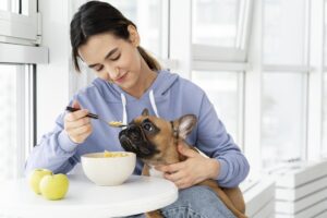 Raw Diet for Dog Training