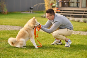Teaching Your Dog to Wait