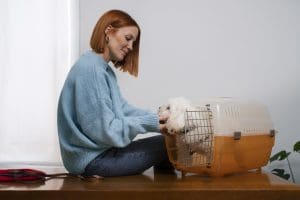 Crate Training