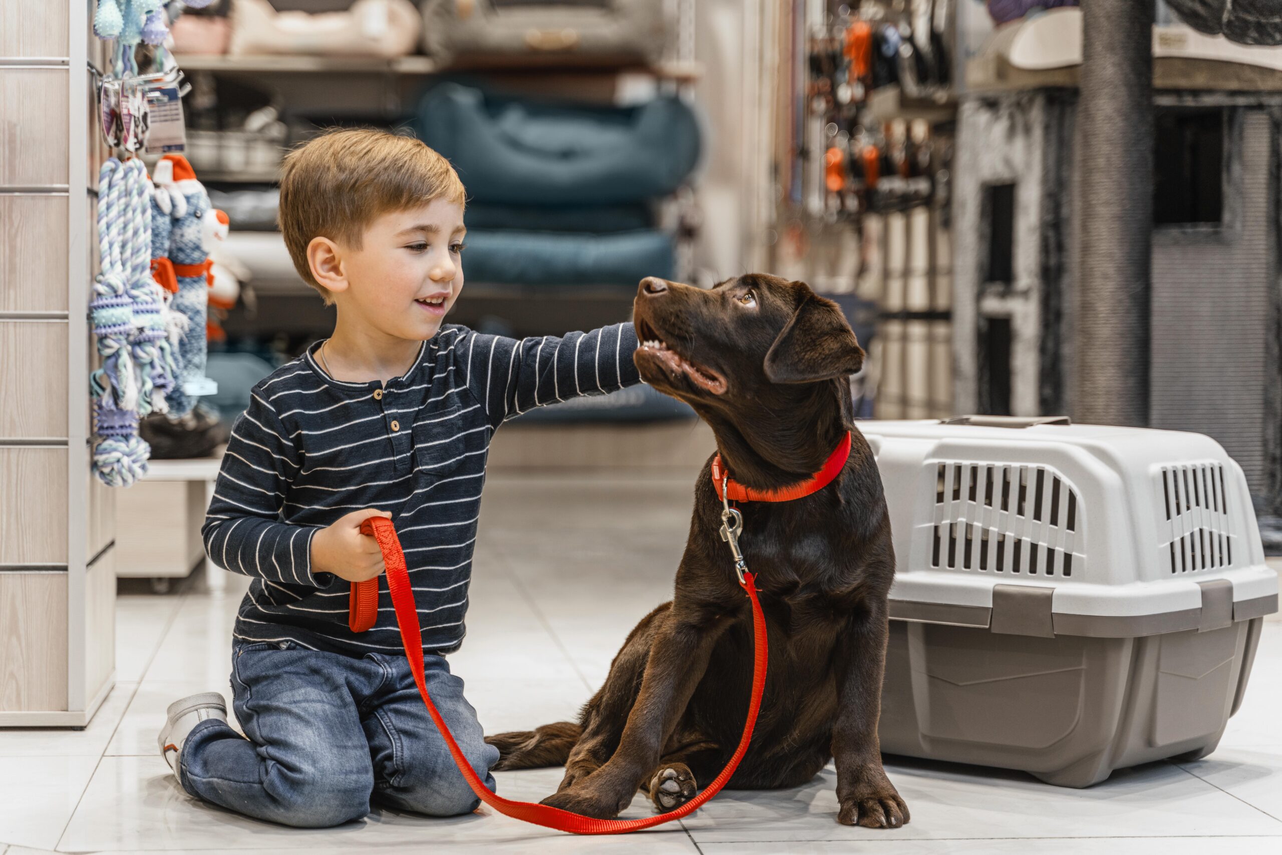 Weekend Dog Training Retreats