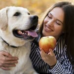 Dogs Benefit From Omega-7