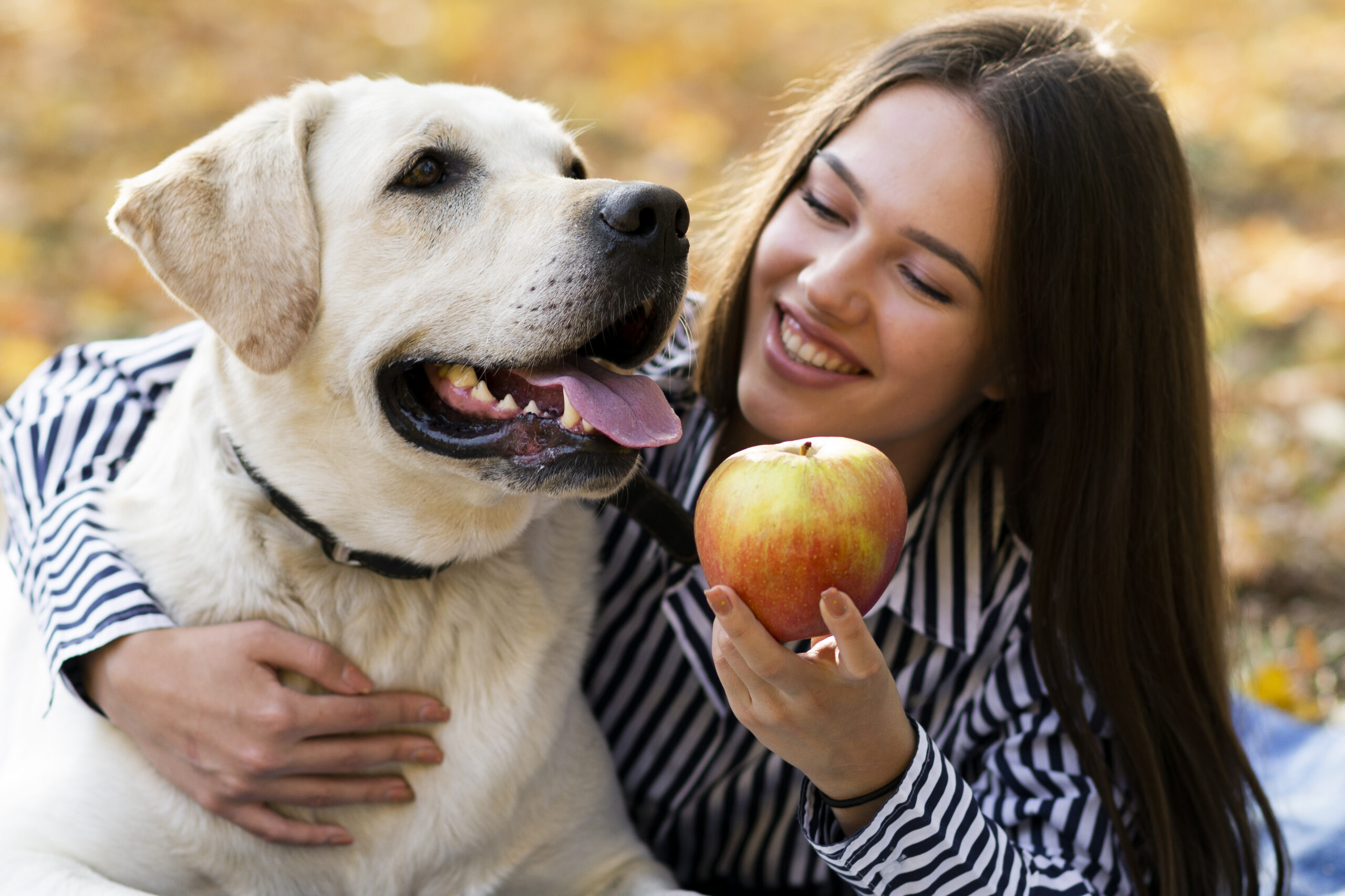 Dogs Benefit From Omega-7