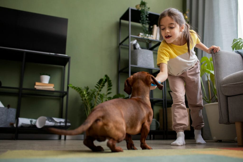 The Ultimate Guide: How Do You Obedience Train a Dog at Home