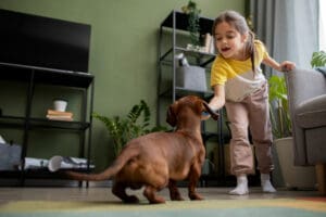 The Ultimate Guide: How Do You Obedience Train a Dog at Home