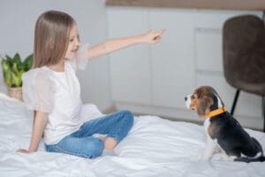 Understanding What Is Dog Obedience Training and How It Helps Behavior