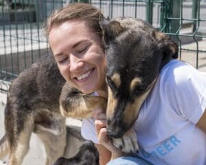 Rescue Dogs
