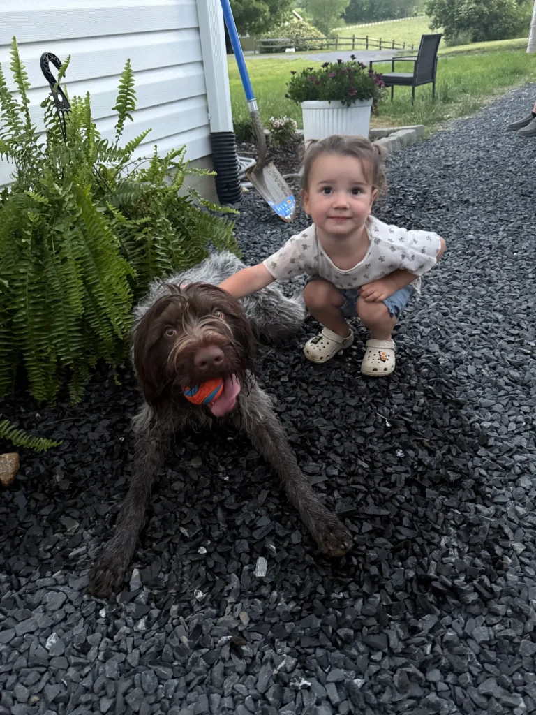 Dog training Dranesville VA with happy dog