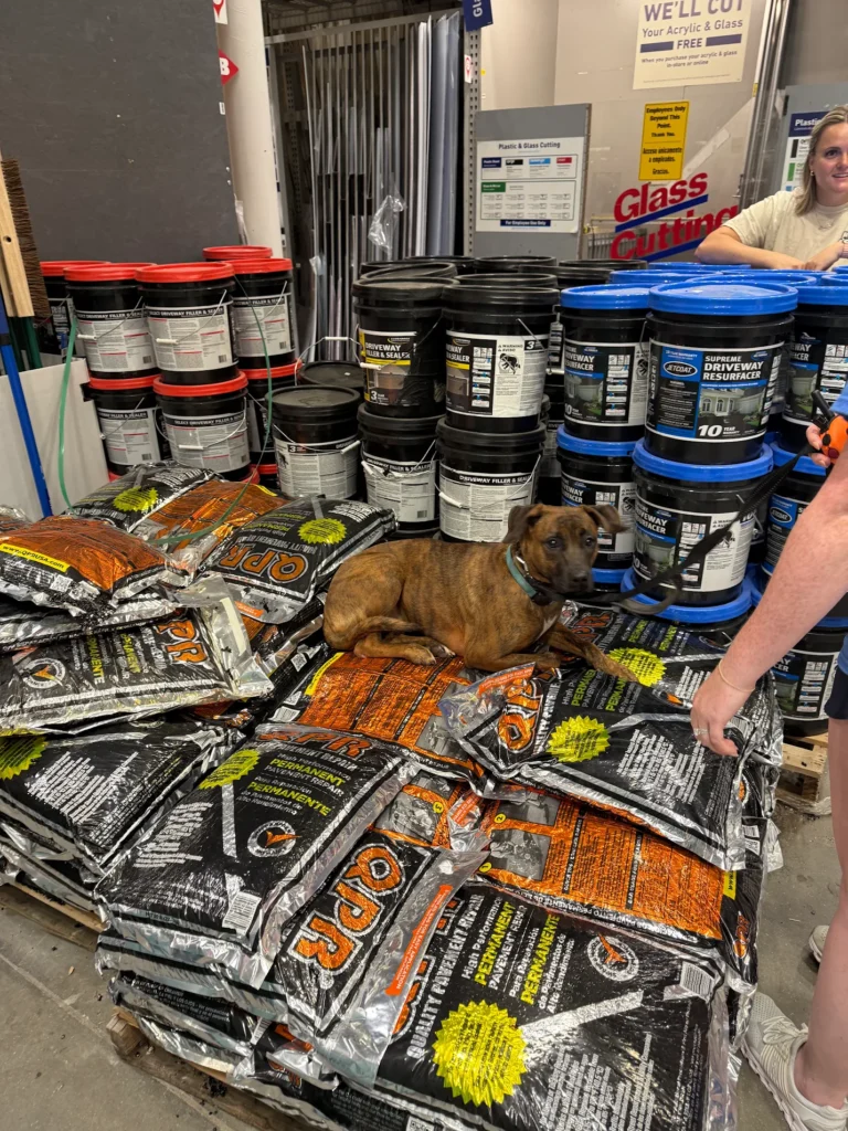 Private dog training Centreville VA, dog lying on mulch bags